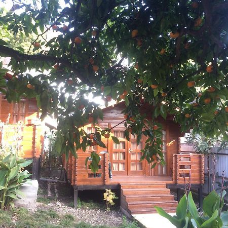Cottage house New Athos 외부 사진