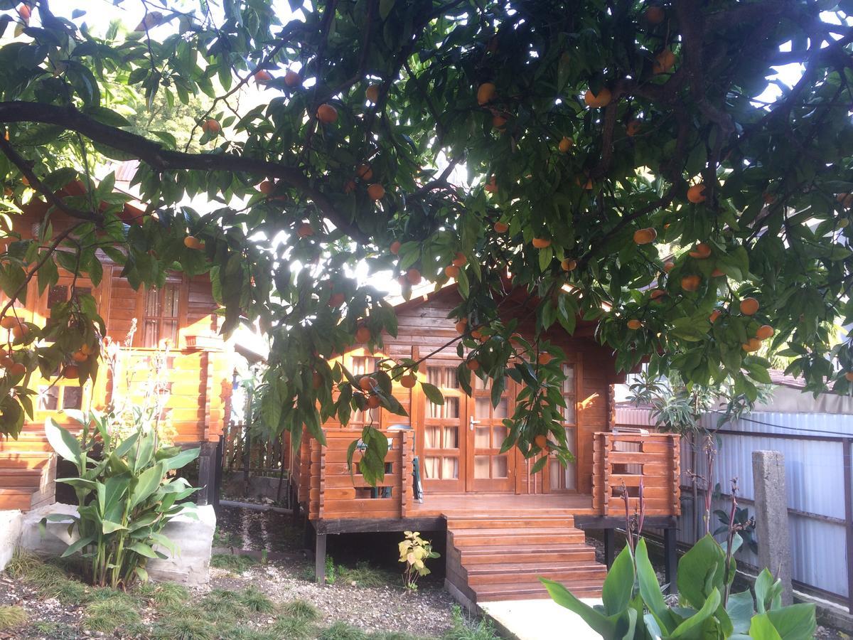 Cottage house New Athos 외부 사진